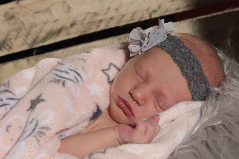 Newborn-Girl_01