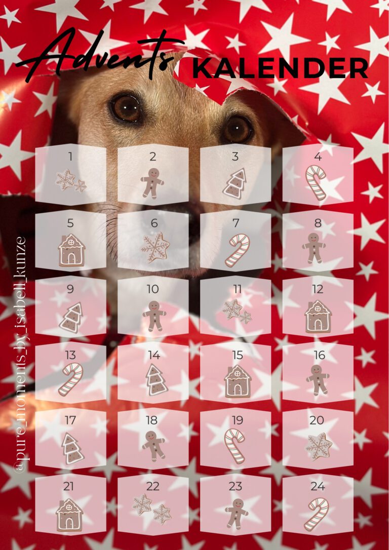 Adventskalender